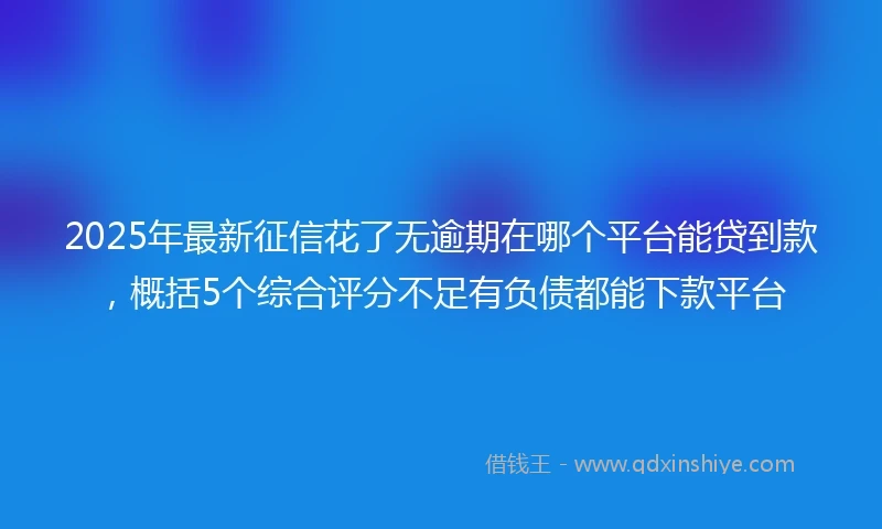 2025年最新征信花了无逾期在哪个平台能贷到款，概括5个综合评分不足有负债都能下款平台