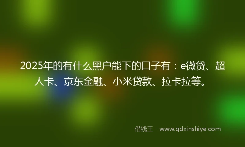 2025年的有什么黑户能下的口子有：e微贷、超人卡、京东金融、小米贷款、拉卡拉等。