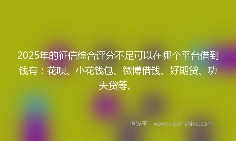 2025年的征信综合评分不足可以在哪个平台借到钱有：花呗、小花钱包、微博借钱、好期贷、功夫贷等。