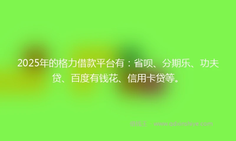 2025年的格力借款平台有：省呗、分期乐、功夫贷、百度有钱花、信用卡贷等。