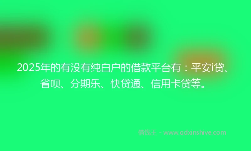 2025年的有没有纯白户的借款平台有：平安i贷、省呗、分期乐、快贷通、信用卡贷等。