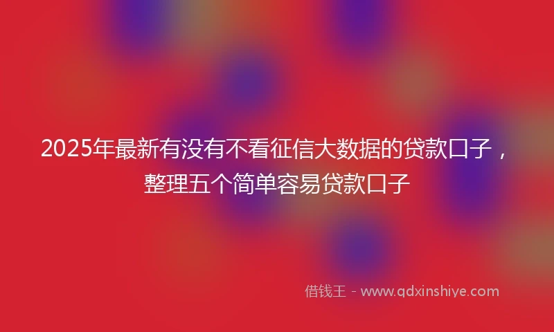 2025年最新有没有不看征信大数据的贷款口子，整理五个简单容易贷款口子