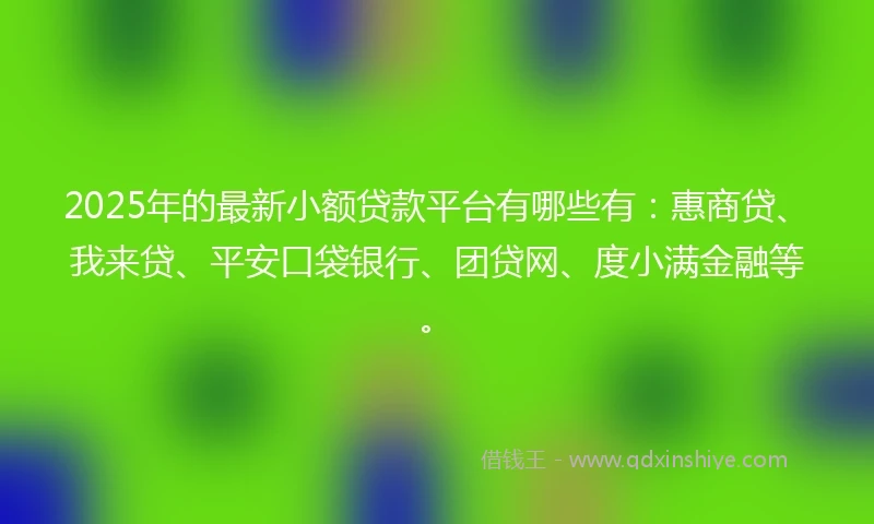 2025年的最新小额贷款平台有哪些有：惠商贷、我来贷、平安口袋银行、团贷网、度小满金融等。