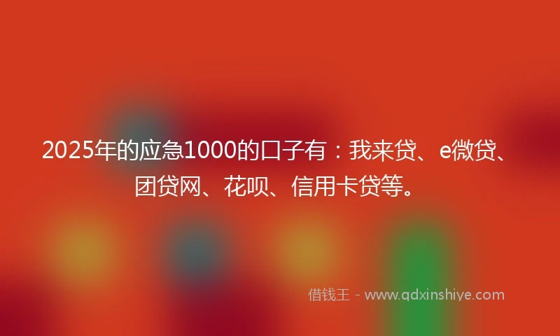 2025年的应急1000的口子有：我来贷、e微贷、团贷网、花呗、信用卡贷等。