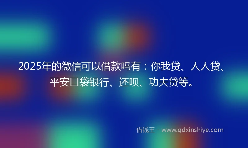 2025年的微信可以借款吗有：你我贷、人人贷、平安口袋银行、还呗、功夫贷等。