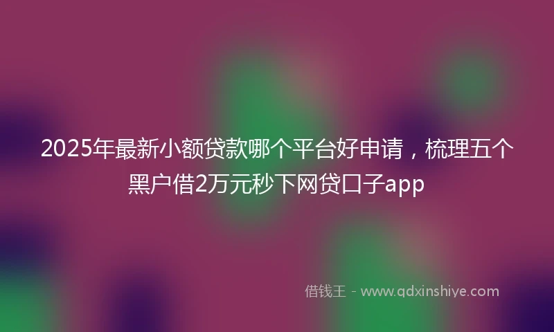 2025年最新小额贷款哪个平台好申请,梳理五个黑户借2万元秒下网贷口子app