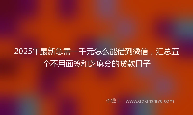 2025年最新急需一千元怎么能借到微信，汇总五个不用面签和芝麻分的贷款口子