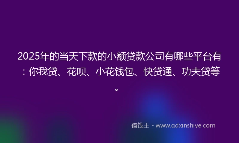 2025年的当天下款的小额贷款公司有哪些平台有：你我贷、花呗、小花钱包、快贷通、功夫贷等。