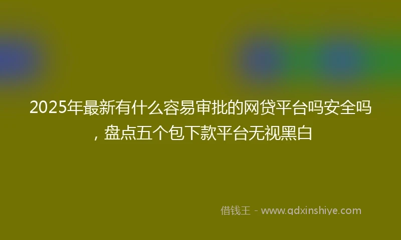 2025年最新有什么容易审批的网贷平台吗安全吗，盘点五个包下款平台无视黑白