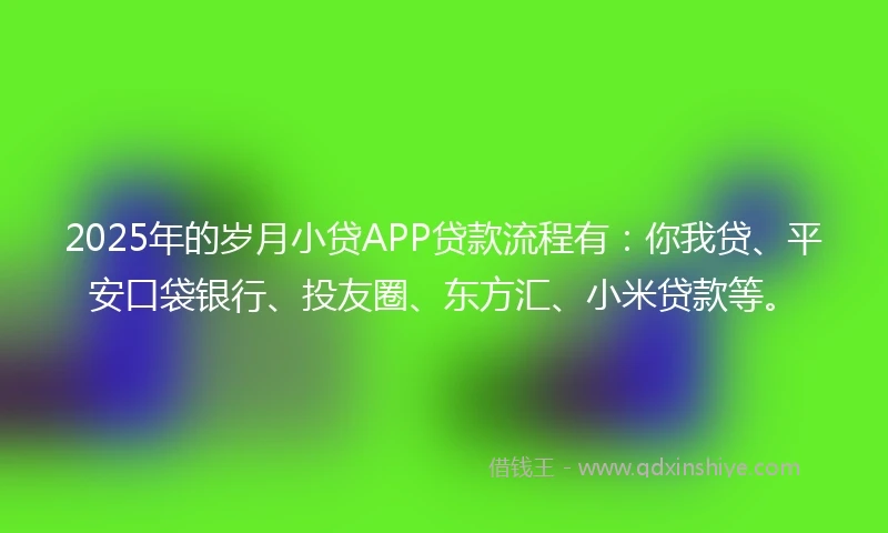 2025年的岁月小贷APP贷款流程有：你我贷、平安口袋银行、投友圈、东方汇、小米贷款等。