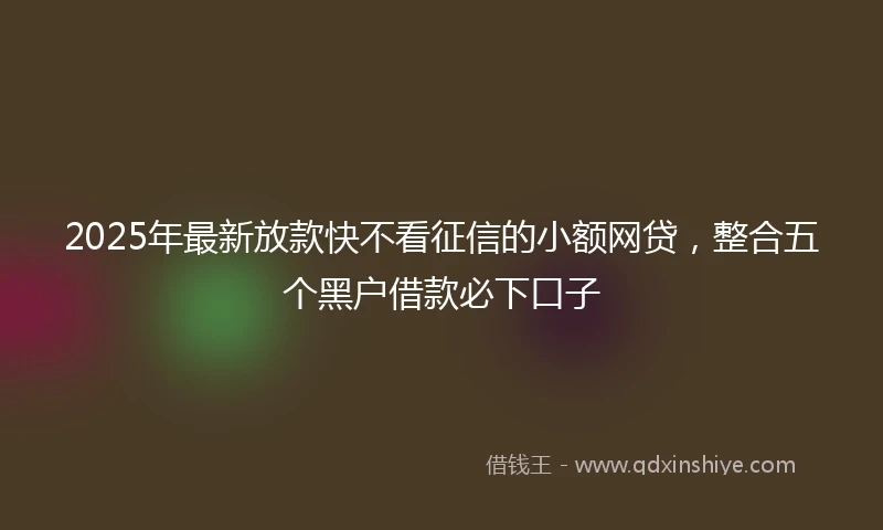 2025年最新放款快不看征信的小额网贷，整合五个黑户借款必下口子