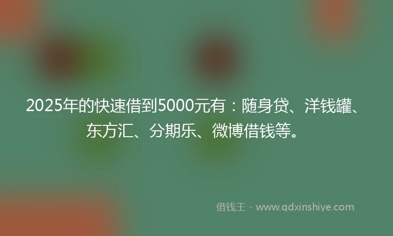 2025年的快速借到5000元有：随身贷、洋钱罐、东方汇、分期乐、微博借钱等。