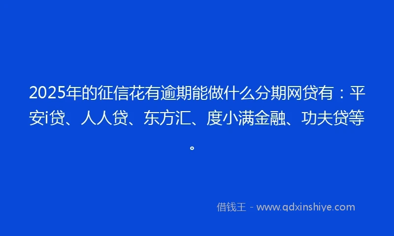 2025年的征信花有逾期能做什么分期网贷有：平安i贷、人人贷、东方汇、度小满金融、功夫贷等。