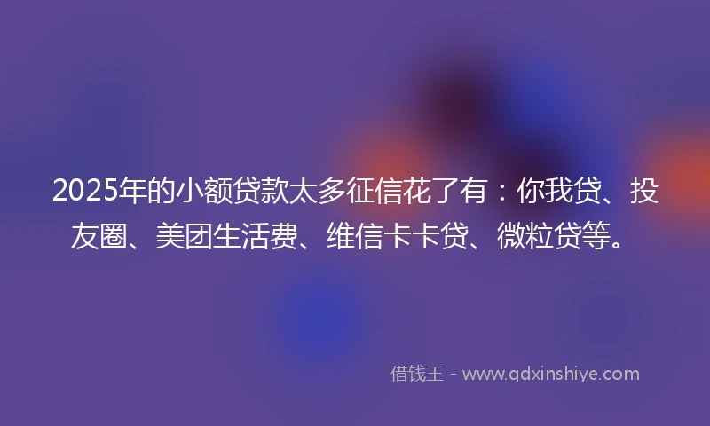 2025年的小额贷款太多征信花了有：你我贷、投友圈、美团生活费、维信卡卡贷、微粒贷等。