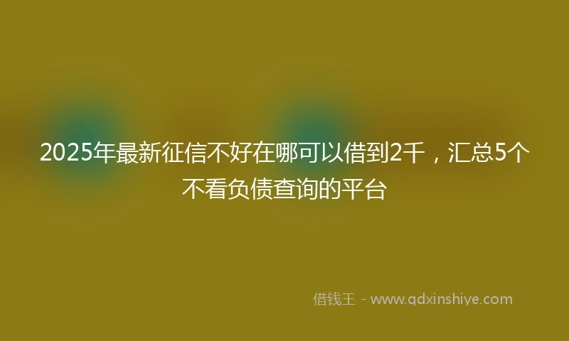 2025年最新征信不好在哪可以借到2千,汇总5个不看负债查询的平台