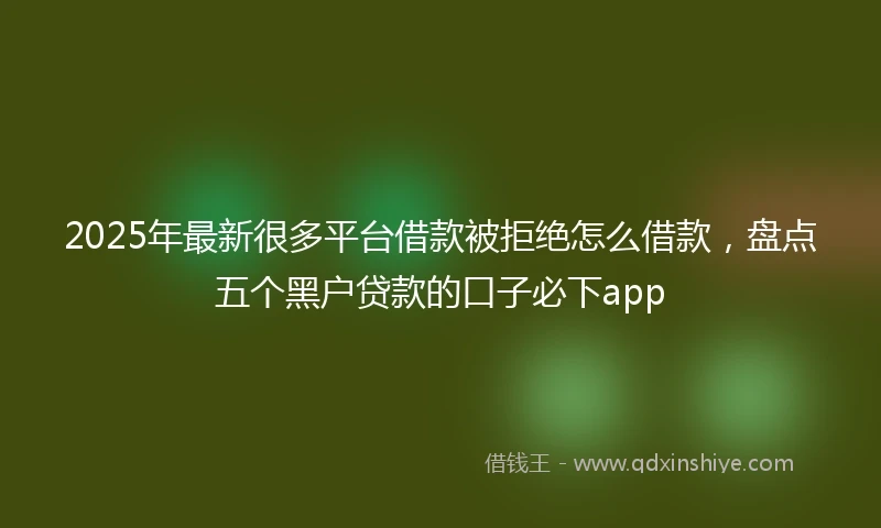 2025年最新很多平台借款被拒绝怎么借款，盘点五个黑户贷款的口子必下app