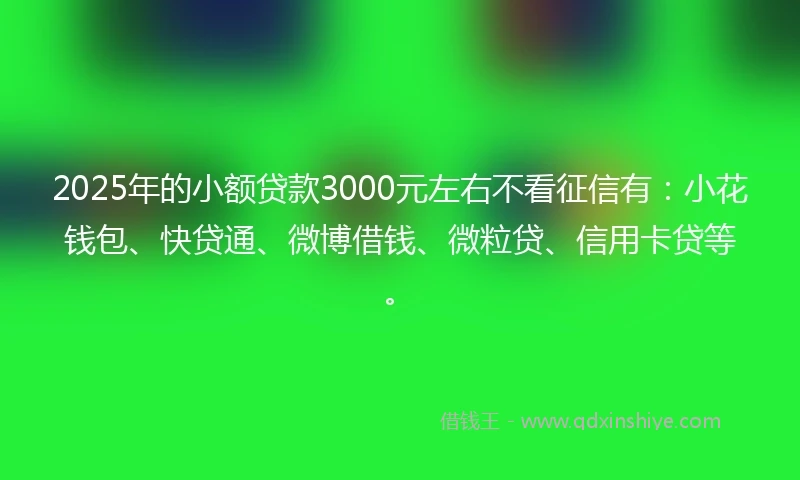 2025年的小额贷款3000元左右不看征信有：小花钱包、快贷通、微博借钱、微粒贷、信用卡贷等。