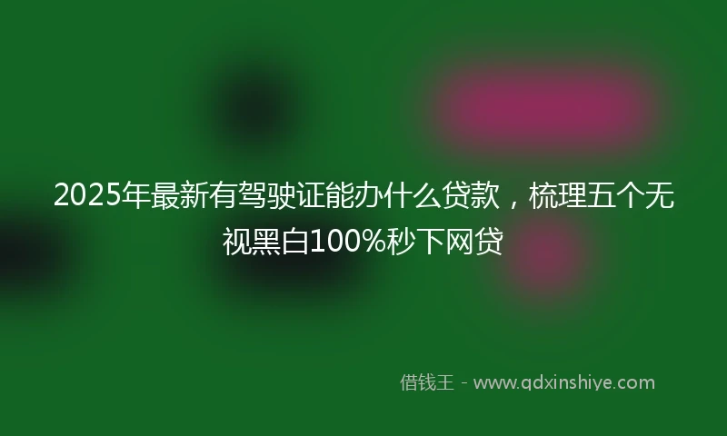 2025年最新有驾驶证能办什么贷款，梳理五个无视黑白100%秒下网贷