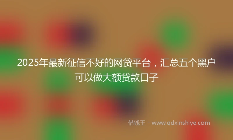 2025年最新征信不好的网贷平台，汇总五个黑户可以做大额贷款口子