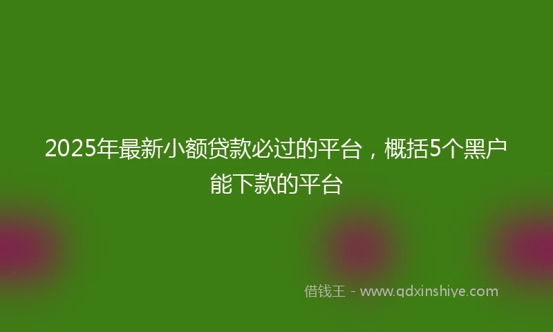2025年最新小额贷款必过的平台，概括5个黑户能下款的平台