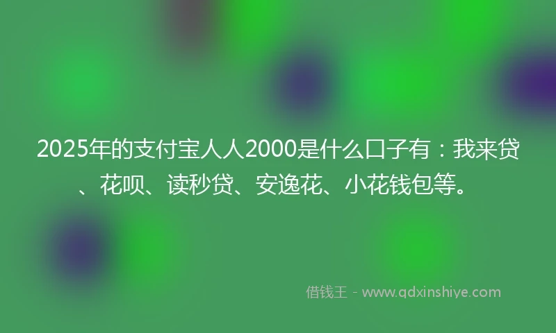 2025年的支付宝人人2000是什么口子有：我来贷、花呗、读秒贷、安逸花、小花钱包等。