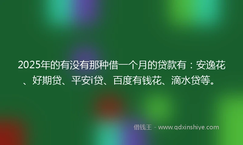 2025年的有没有那种借一个月的贷款有：安逸花、好期贷、平安i贷、百度有钱花、滴水贷等。