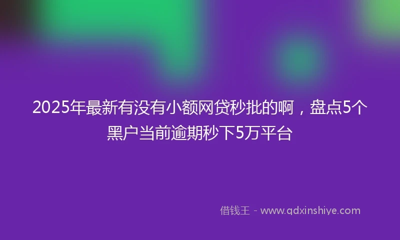 2025年最新有没有小额网贷秒批的啊，盘点5个黑户当前逾期秒下5万平台