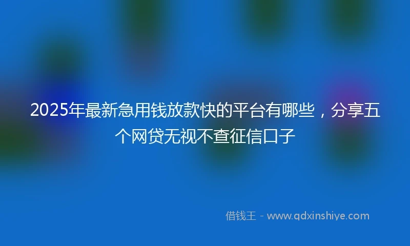 2025年最新急用钱放款快的平台有哪些，分享五个网贷无视不查征信口子