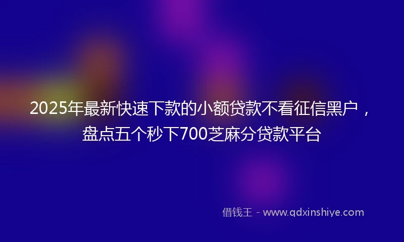 2025年最新快速下款的小额贷款不看征信黑户，盘点五个秒下700芝麻分贷款平台