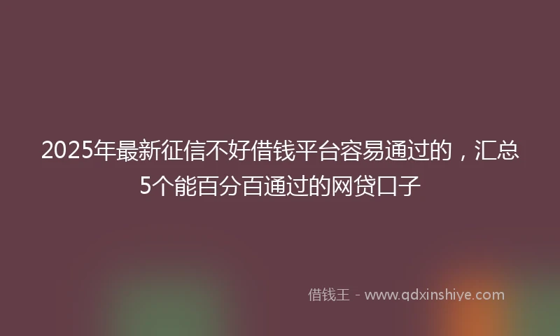 2025年最新征信不好借钱平台容易通过的，汇总5个能百分百通过的网贷口子