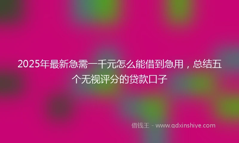 2025年最新急需一千元怎么能借到急用，总结五个无视评分的贷款口子