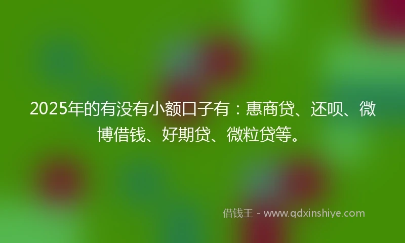 2025年的有没有小额口子有：惠商贷、还呗、微博借钱、好期贷、微粒贷等。