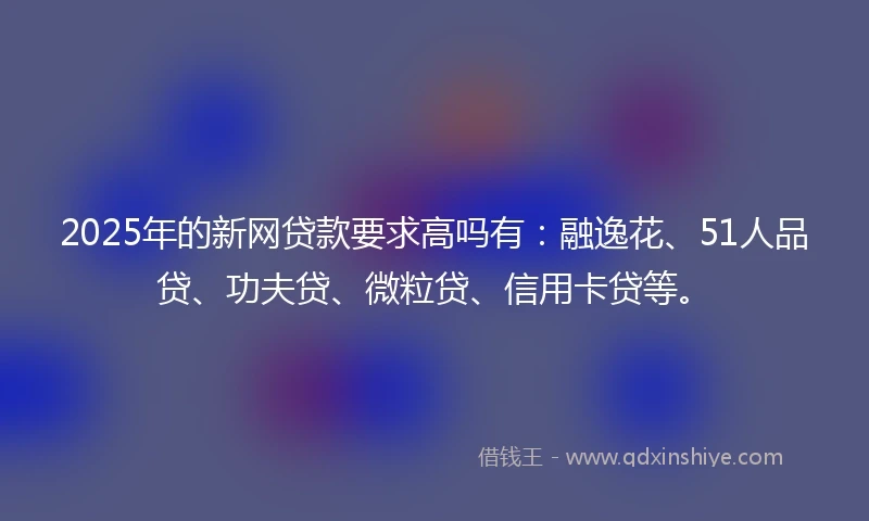 2025年的新网贷款要求高吗有：融逸花、51人品贷、功夫贷、微粒贷、信用卡贷等。