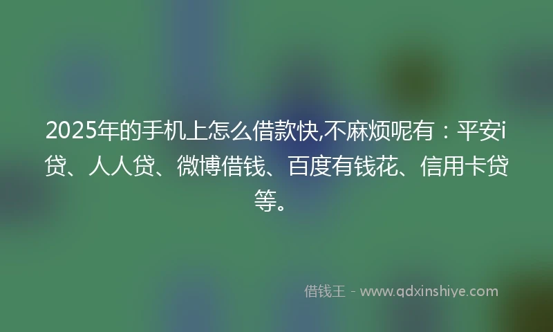 2025年的手机上怎么借款快,不麻烦呢有：平安i贷、人人贷、微博借钱、百度有钱花、信用卡贷等。