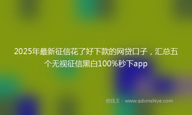 2025年最新征信花了好下款的网贷口子，汇总五个无视征信黑白100%秒下app