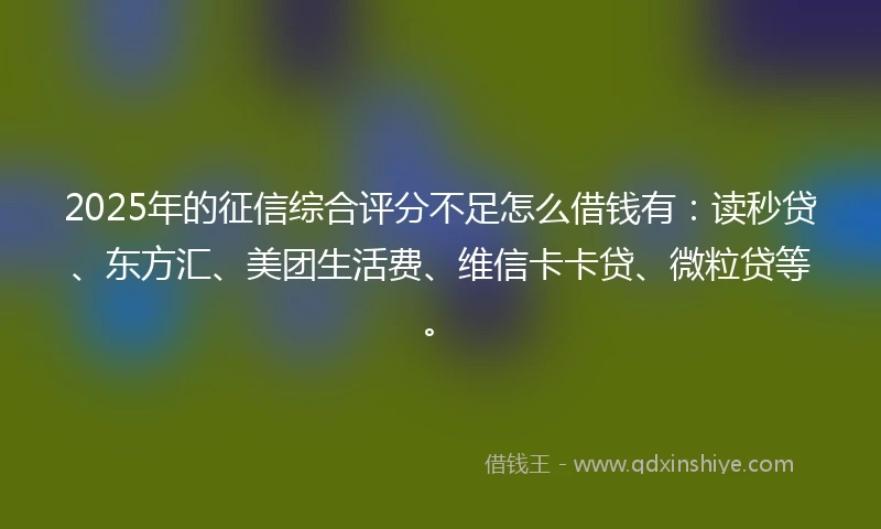 2025年的征信综合评分不足怎么借钱有：读秒贷、东方汇、美团生活费、维信卡卡贷、微粒贷等。