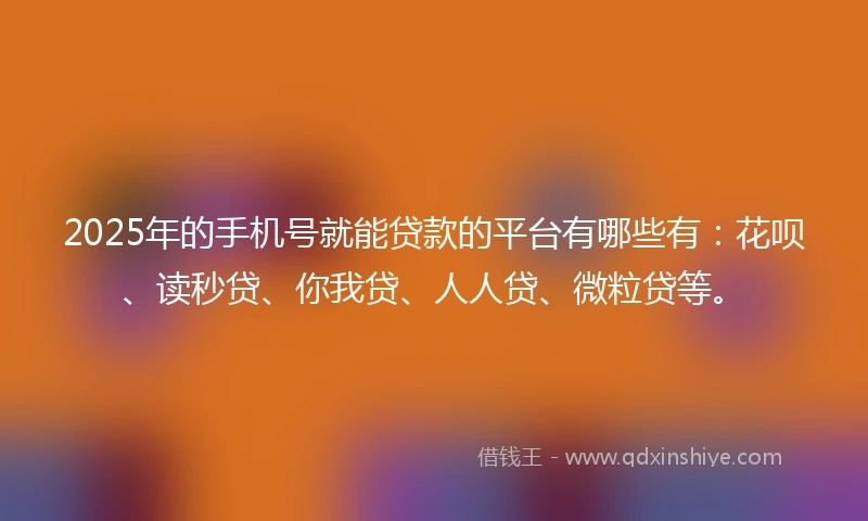2025年的手机号就能贷款的平台有哪些有：花呗、读秒贷、你我贷、人人贷、微粒贷等。