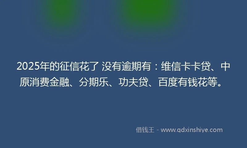 2025年的征信花了 没有逾期有：维信卡卡贷、中原消费金融、分期乐、功夫贷、百度有钱花等。