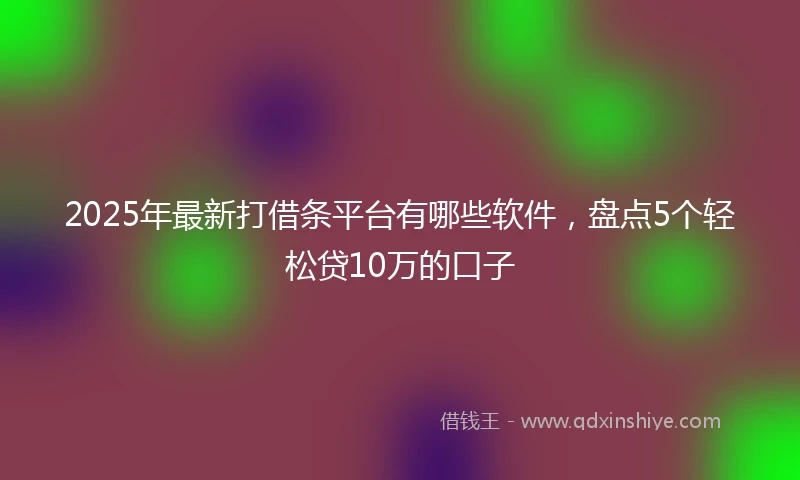 2025年最新打借条平台有哪些软件，盘点5个轻松贷10万的口子