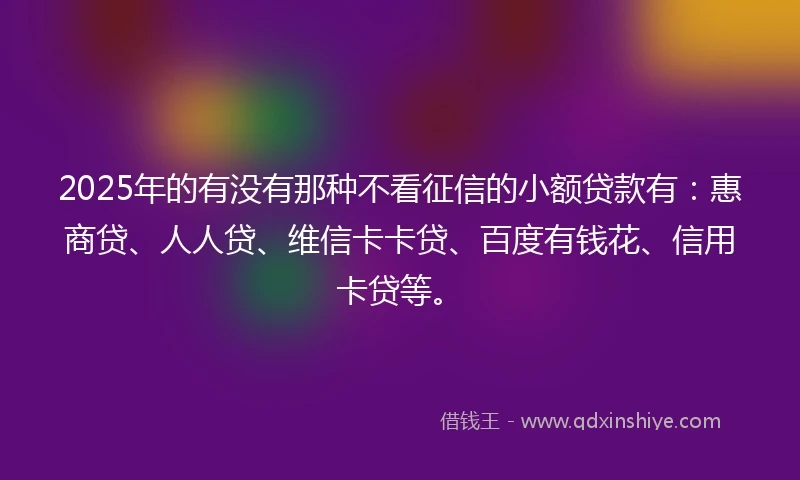 2025年的有没有那种不看征信的小额贷款有：惠商贷、人人贷、维信卡卡贷、百度有钱花、信用卡贷等。