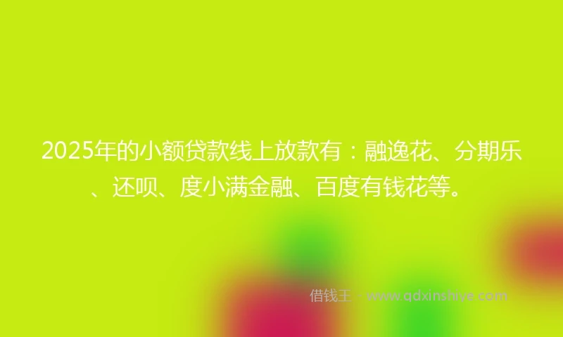 2025年的小额贷款线上放款有：融逸花、分期乐、还呗、度小满金融、百度有钱花等。