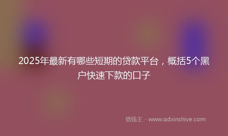 2025年最新有哪些短期的贷款平台，概括5个黑户快速下款的口子
