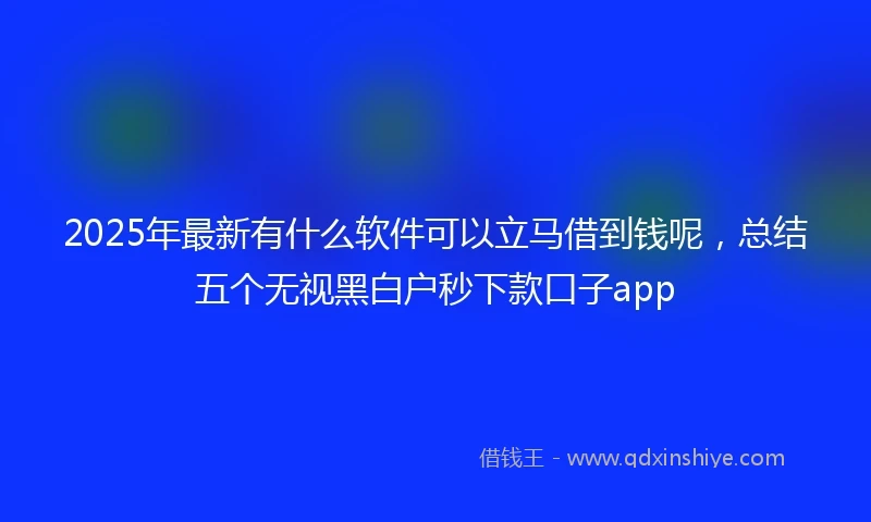 2025年最新有什么软件可以立马借到钱呢，总结五个无视黑白户秒下款口子app