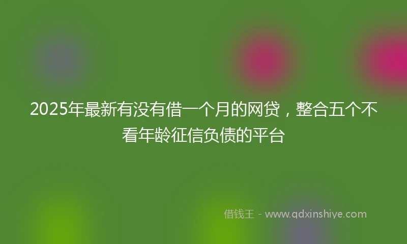 2025年最新有没有借一个月的网贷，整合五个不看年龄征信负债的平台