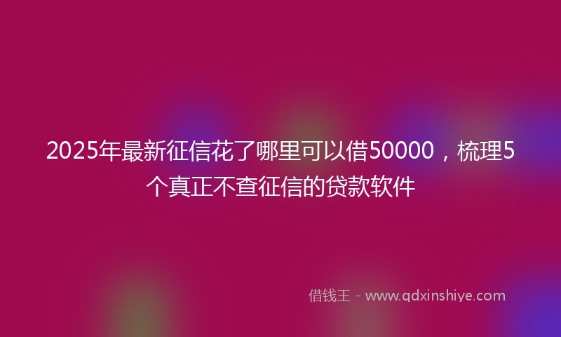 2025年最新征信花了哪里可以借50000，梳理5个真正不查征信的贷款软件