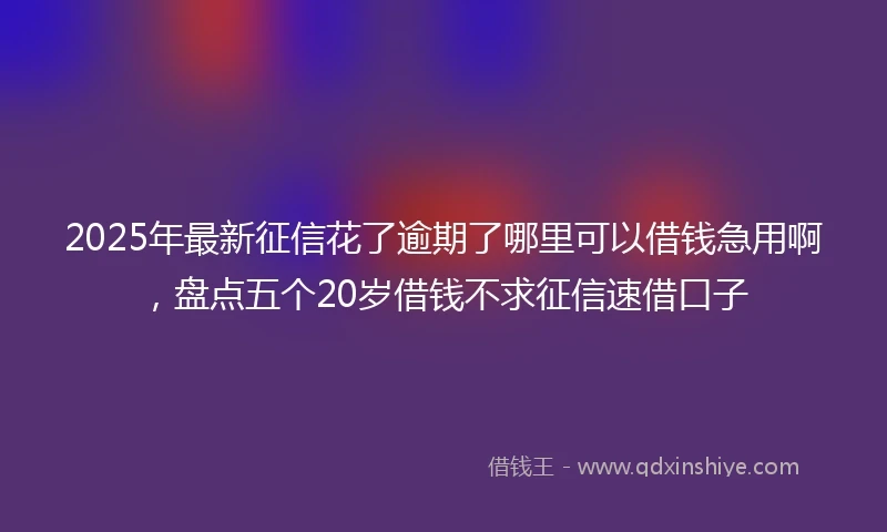 2025年最新征信花了逾期了哪里可以借钱急用啊，盘点五个20岁借钱不求征信速借口子