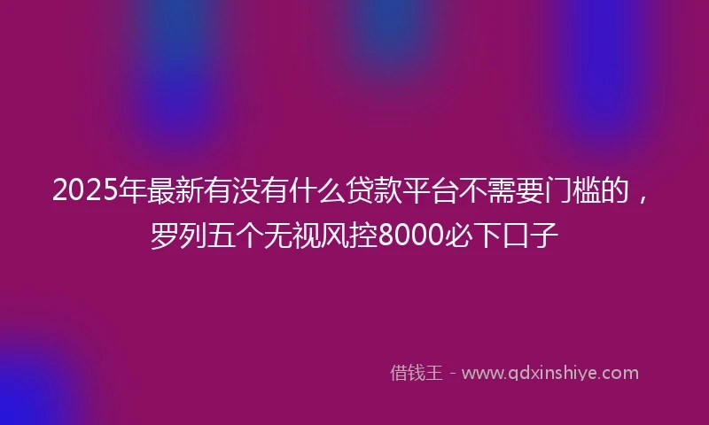 2025年最新有没有什么贷款平台不需要门槛的，罗列五个无视风控8000必下口子