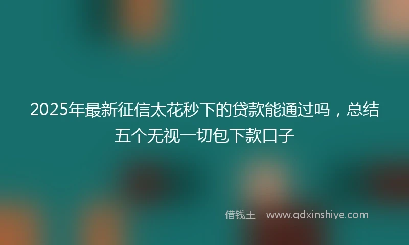 2025年最新征信太花秒下的贷款能通过吗，总结五个无视一切包下款口子