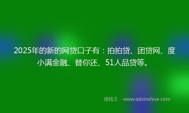 2025年的新的网贷口子有：拍拍贷、团贷网、度小满金融、替你还、51人品贷等。