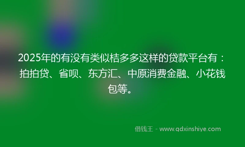 2025年的有没有类似桔多多这样的贷款平台有：拍拍贷、省呗、东方汇、中原消费金融、小花钱包等。
